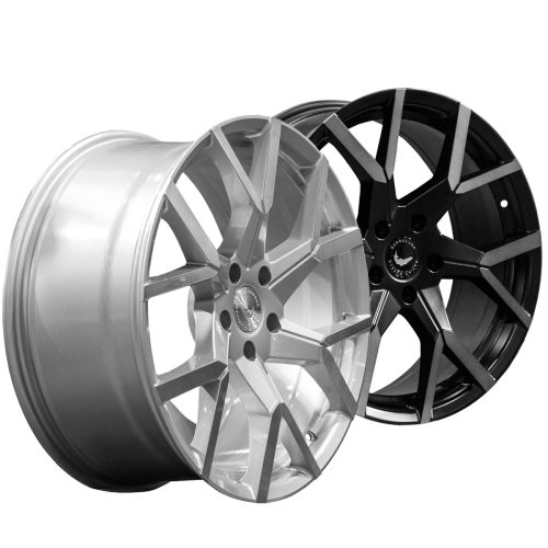 Barracuda Tzunsamee Evo